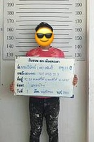 รายงานการปฏิบัติราชการประจำเดือนพฤศจิกายน 2567